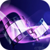 DeskShare Digital Media Converter Pro