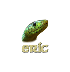 Eric IDE