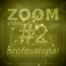 Franzis ZOOM Video #2 professional