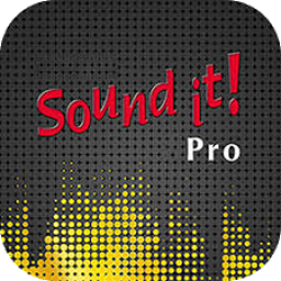 Internet Sound It 9 Pro