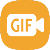iPixSoft GIF to Video Converter