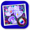 JixiPix Spektrel Art