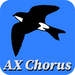 Martinic AX Chorus