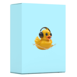 Parametric Ducky Verb