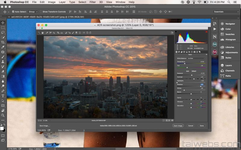 what is adobe camera raw